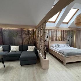 Willa Wójcik Apartamenty i Pokoje Sromowce Niżne