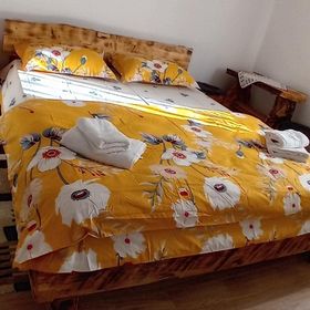 Cabana Lui Lemu Avram Iancu