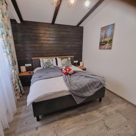 Chalet Amik Bușteni