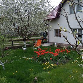 Căsuța Bunicilor Dorna Candrenilor