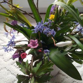 Căsuța Bunicilor Volovăț