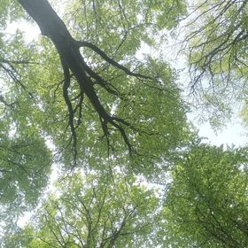 Căsuța Bunicilor Volovăț