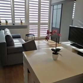 Apartament w Centrum Szczecin