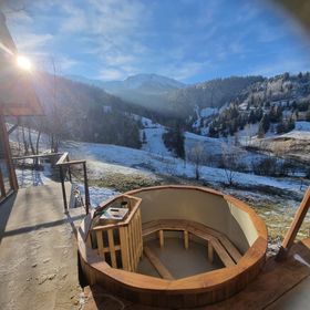 Cabana Merișorului Borșa