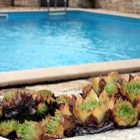 Vendégház Tinjan - CLI771