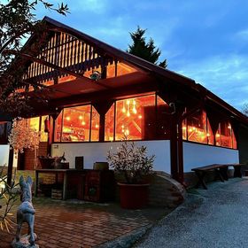 Pilisi Lovas Major Dorog