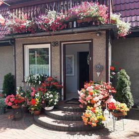 Agroturystyka Jaworowy Domek Polanica-Zdrój 