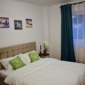 Apartament Brașov Urban Experience Brașov