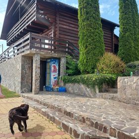 Villa Eden Pădureni