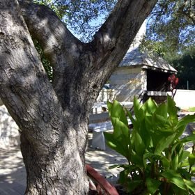 Apartmani Mladen Biograd