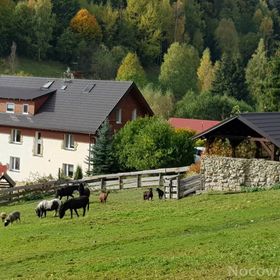 Zagroda Studzienno- Agroturystyka Polanica Zdrój