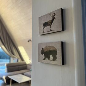 Cabana Mokki Mărișel