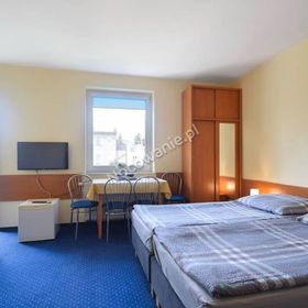 Cyprys - pokoje wczasowe Kołobrzeg