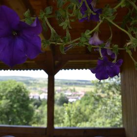 Vila Rozsi Mama Sovata