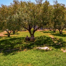 Apartman Sveti Filip i Jakov - CDI714