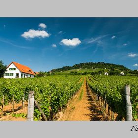 Kolonics Kúria Vendégház Somlóvásárhely