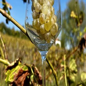 Kolonics Kúria Vendégház Somlóvásárhely