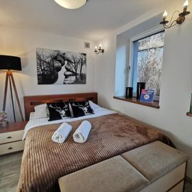 Kryształowy Apartament z pięknym ogrodem w centrum uzdrowiska