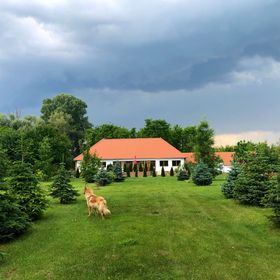 Koma Vendégház Bátorliget