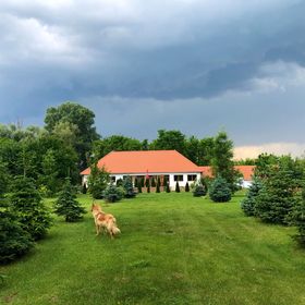 Koma Vendégház Bátorliget