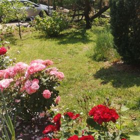 Éderbirtok Vendégház Badacsonytomaj