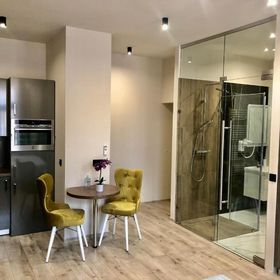 Silver Dawn Apartments Szeged