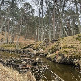 Apartamenty Marea Rentals Na Kaszubskiej Ustka