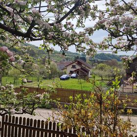 Cottage in Traditional Village Brăduleț 