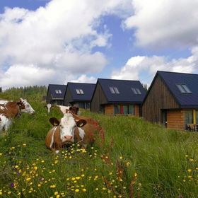 Bystre DOMKI Zakopane