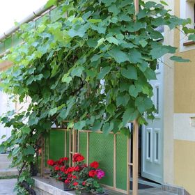 Hajnalka Apartmanház Gyula