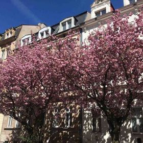 Apartmány Jízdárenská Karlovy Vary