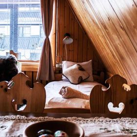 Willa pod Jesionami Zakopane