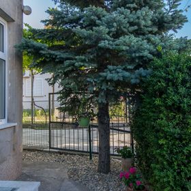 Apartment Vinka Kastel Luksic