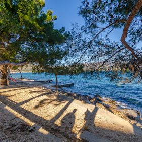 Apartment Pine Haven Arbanija