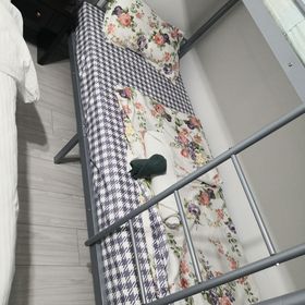 Apartamente 9 - Dalival Băile Felix