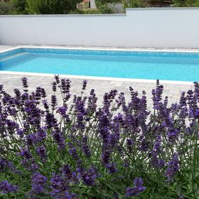 Apartments Grandevista-with swimmingpool Seline