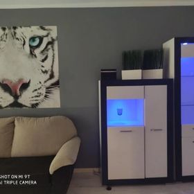 Apartament Tygrys Zakopane