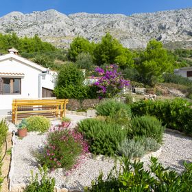 Apartments Olive Mimice