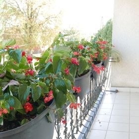 Szabóporta Vendégház Zalaháshágy