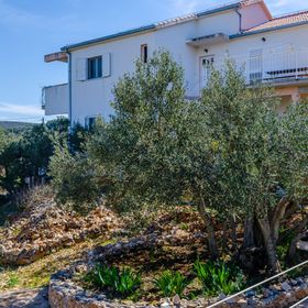 Apartments Stara Maslina Slatine