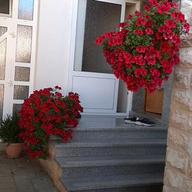 Apartments Jopa Vodice