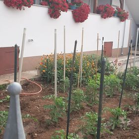 Apartments Jopa Vodice