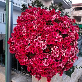 Apartments Jopa Vodice