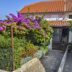 House Panula Mali Iz