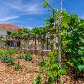 Apartment Marin Vinisce