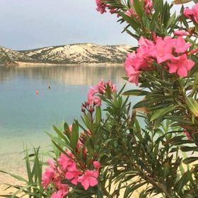 Apartments Marinic Stara Novalja