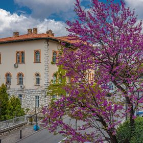 Apartment Tea Crikvenica II