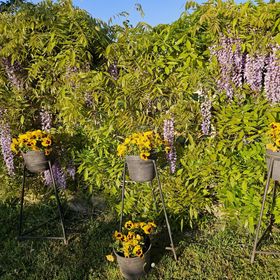 Keszi Széli Vendégház Gyulakeszi