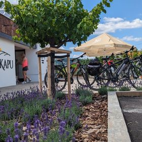 Zánkapu Szálláshely Zánka