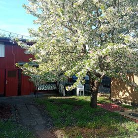 Zsófia Vendégház Jászszentandrás